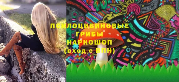 твердый Абаза